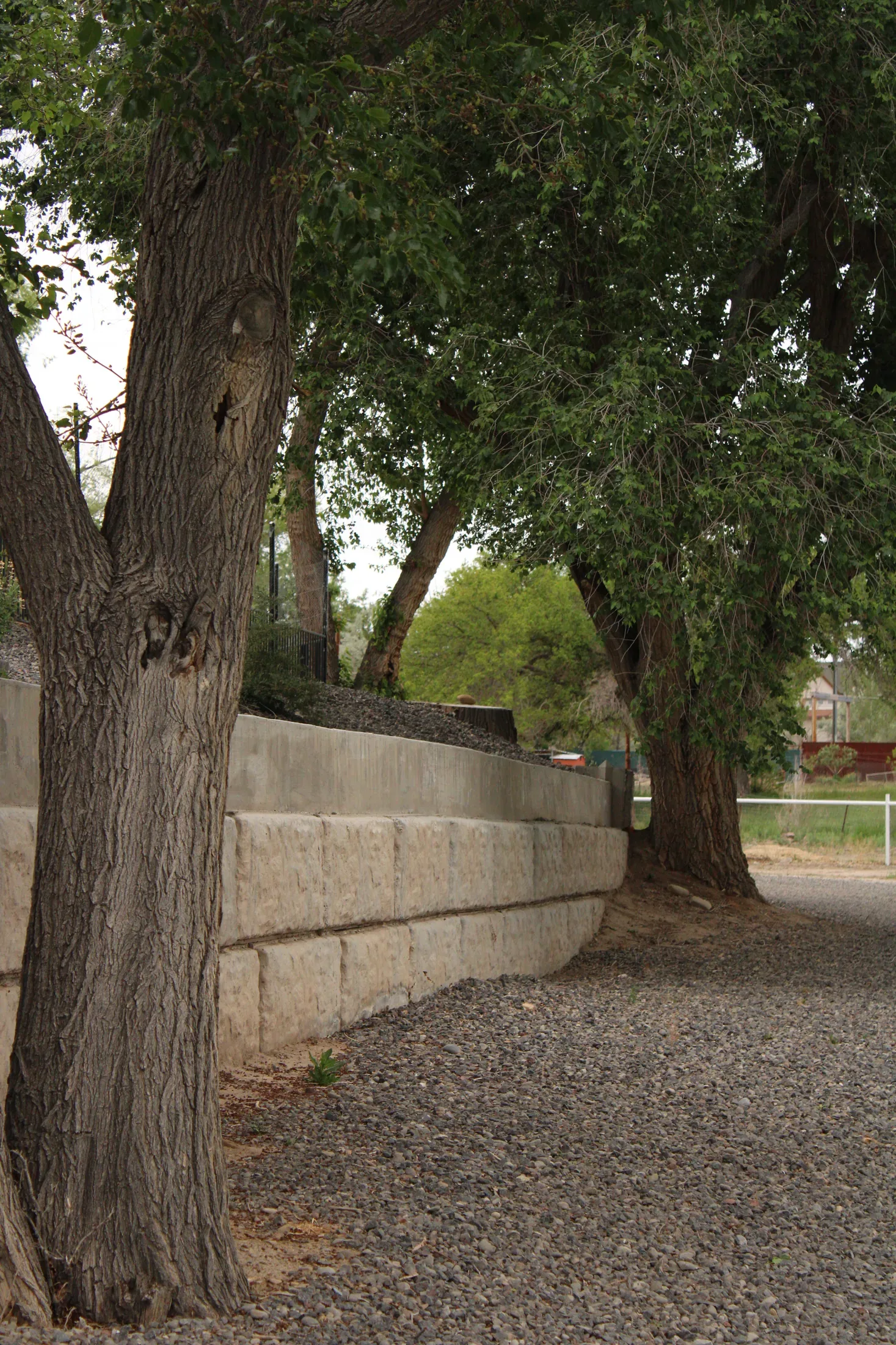Fencing project - fencing 20