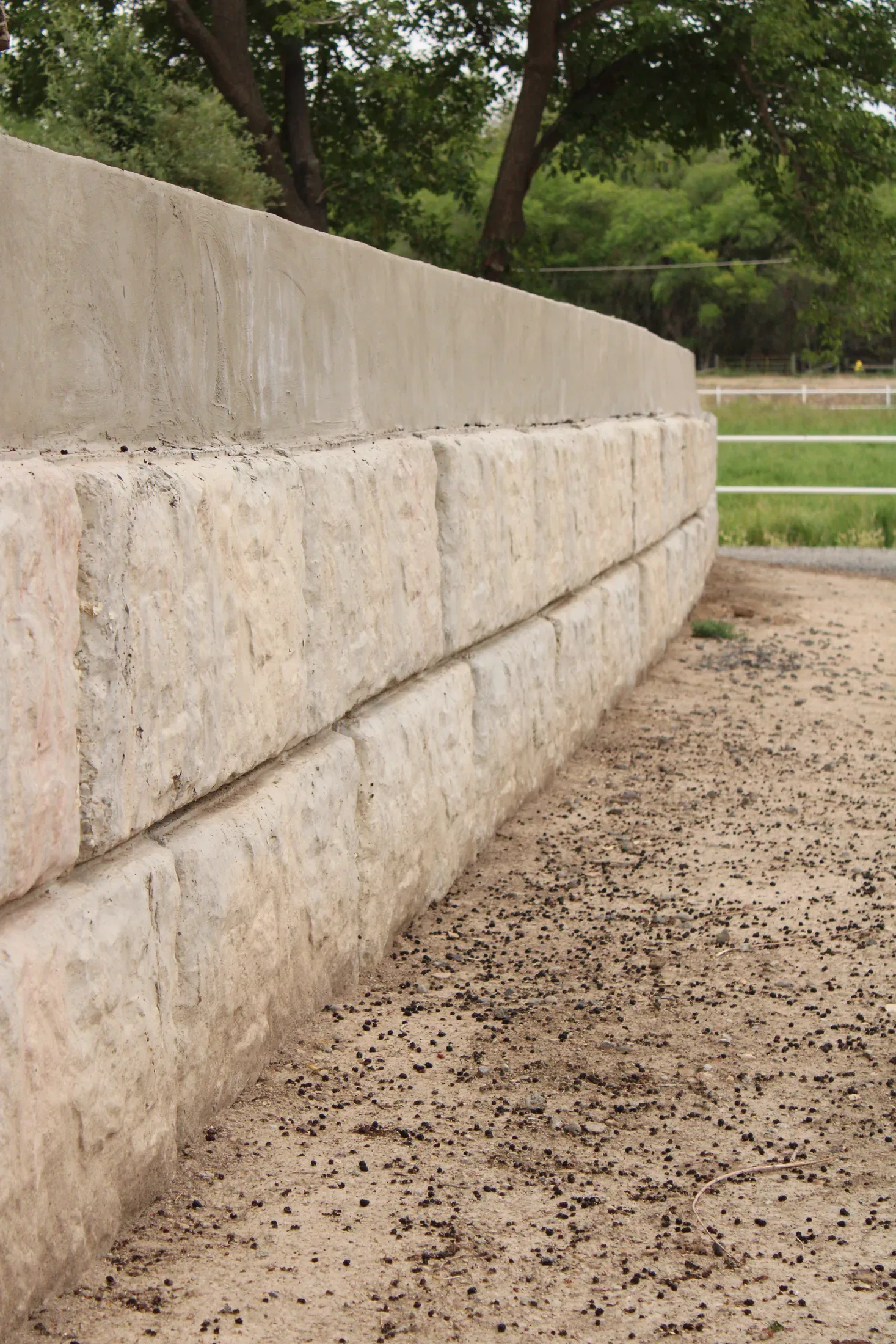 Fencing project - fencing 21