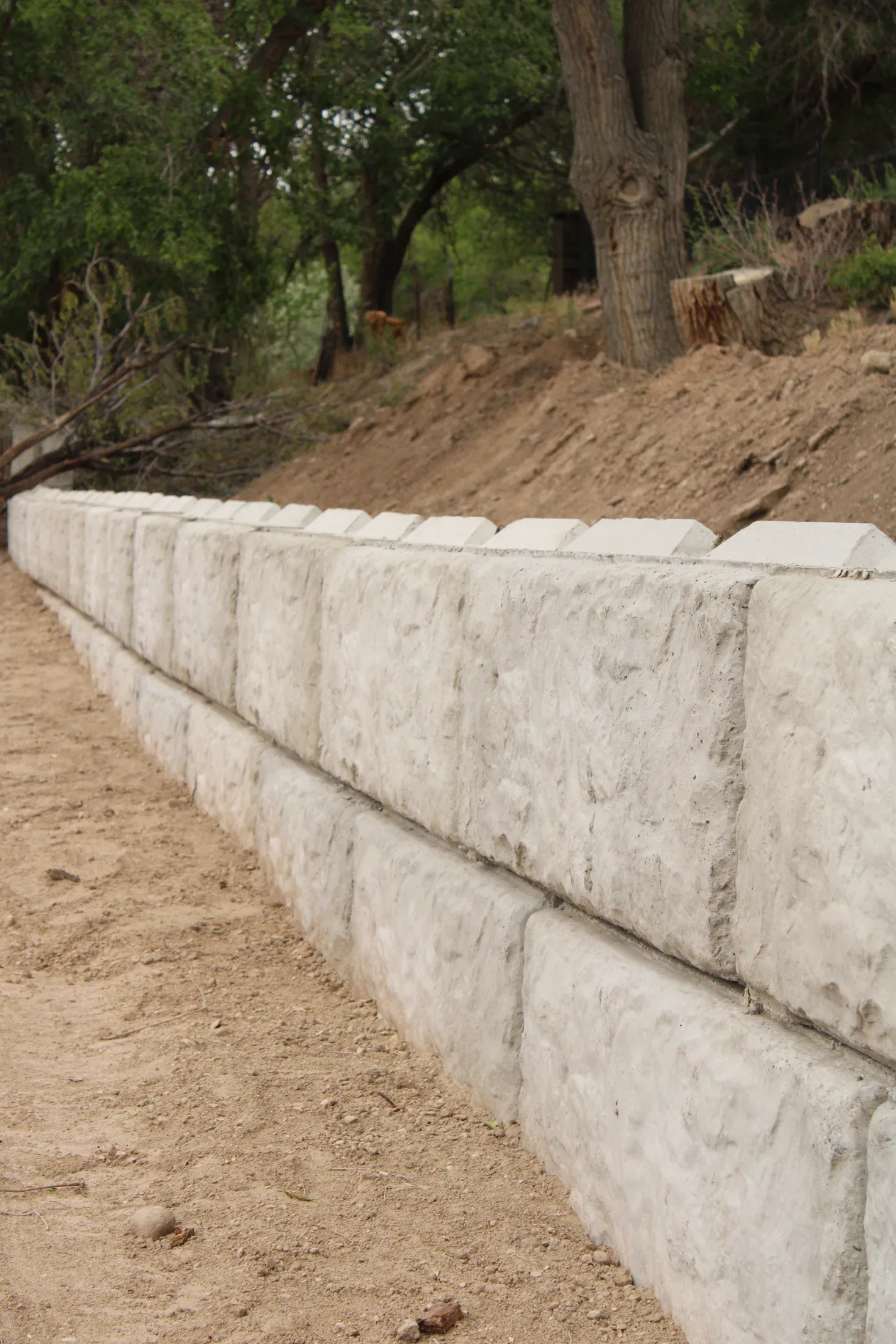 Fencing project - fencing 22