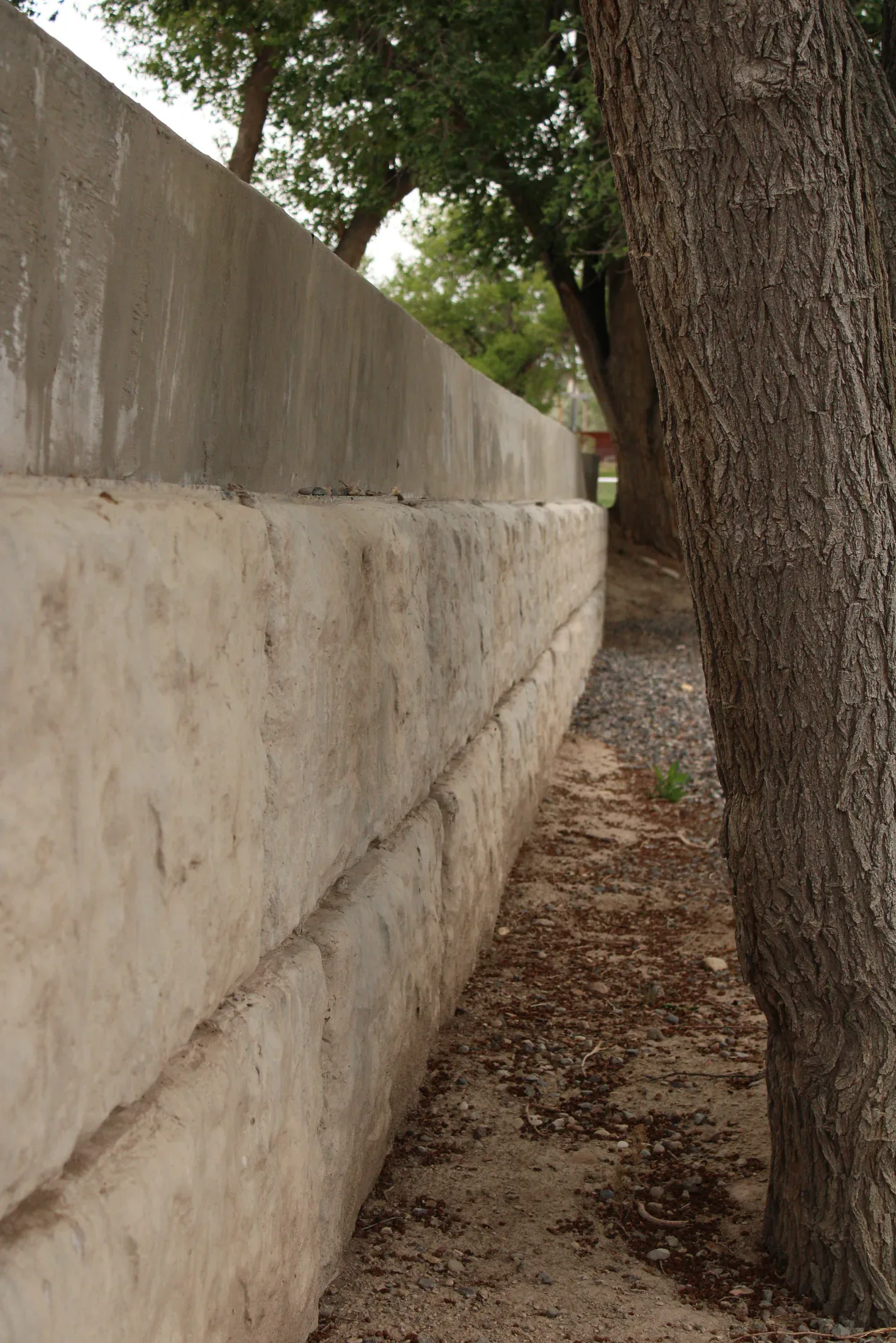 Fencing project - fencing 23