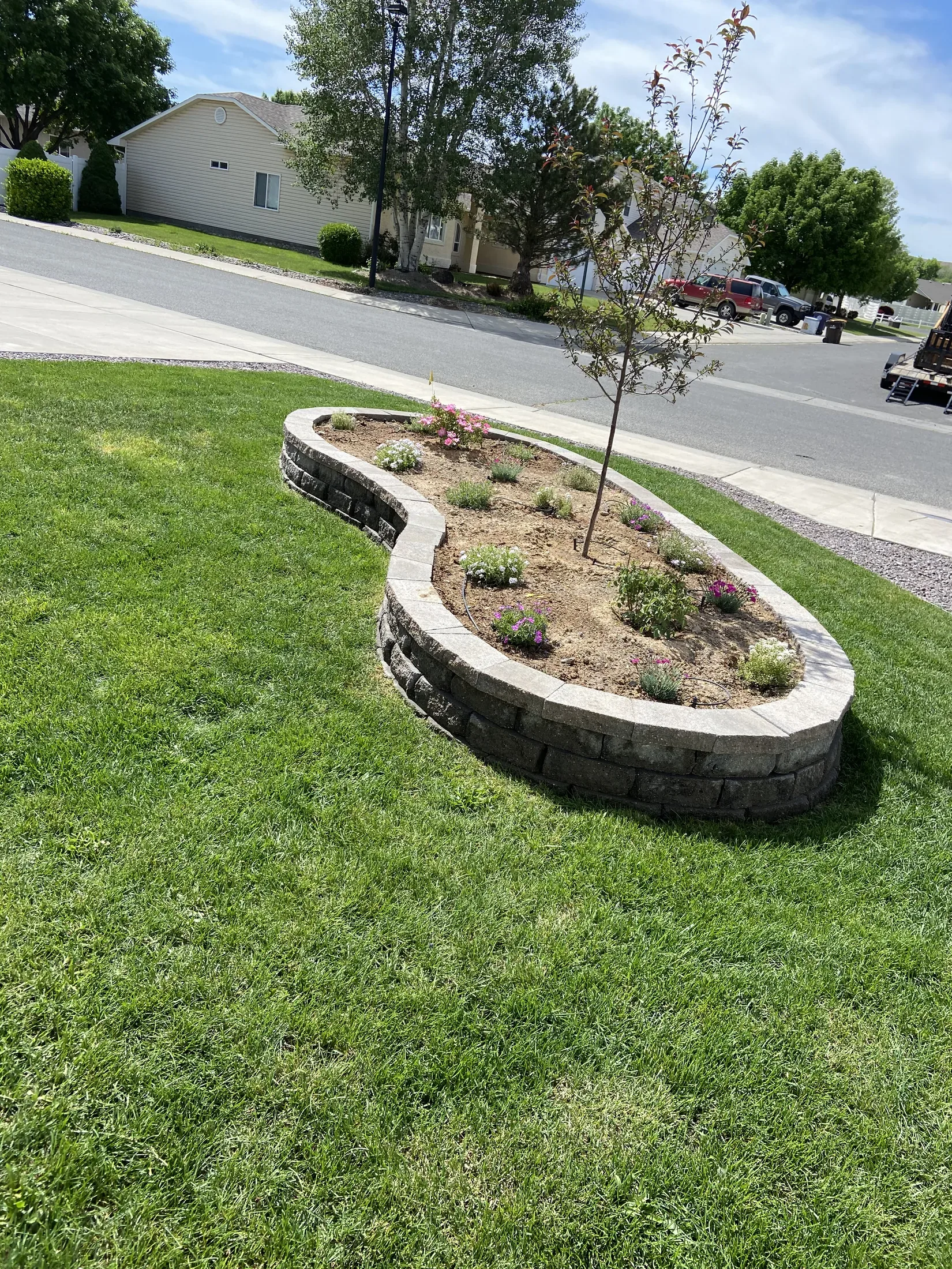 Lawn project - lawn 03