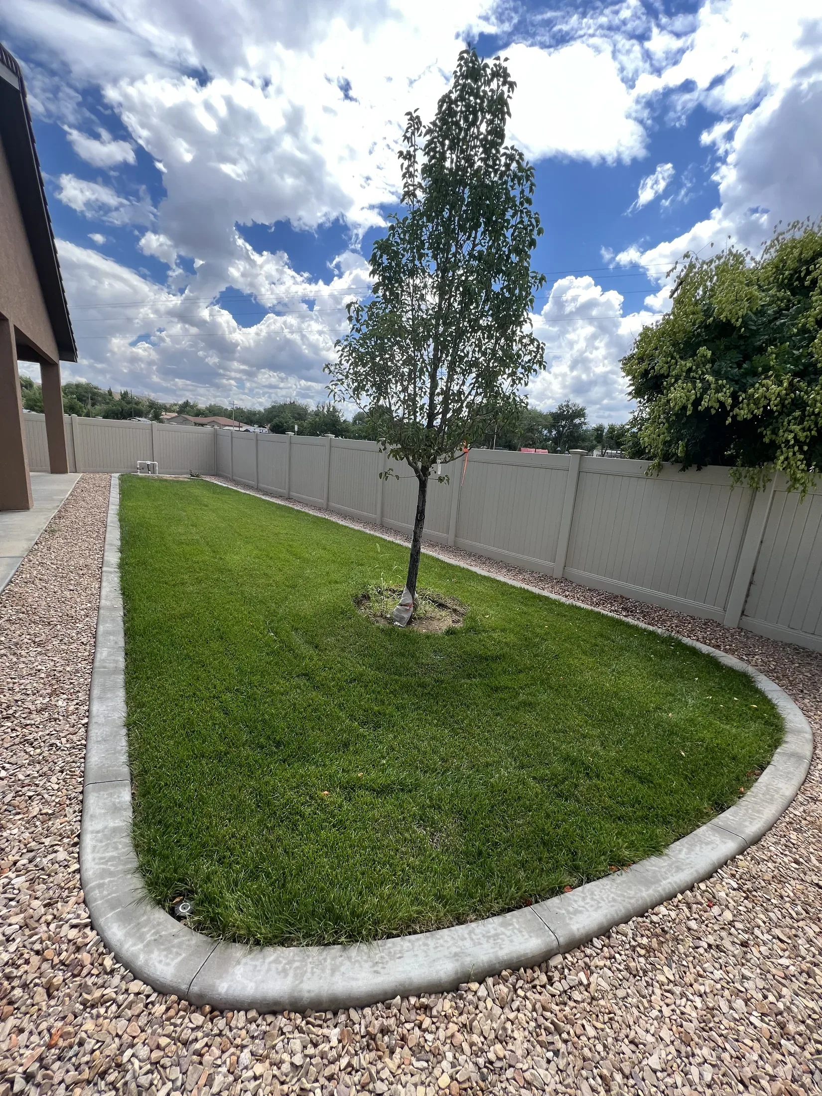 Lawn project - lawn 04