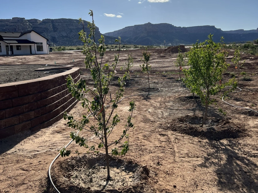 Planting project by J & S Stone and Landscaping