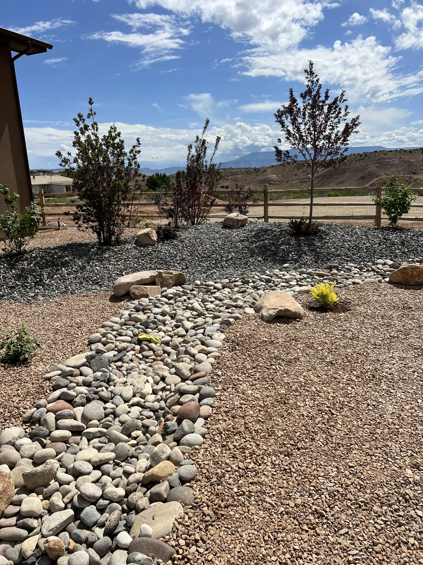 Xeriscapes project - xeriscapes 01