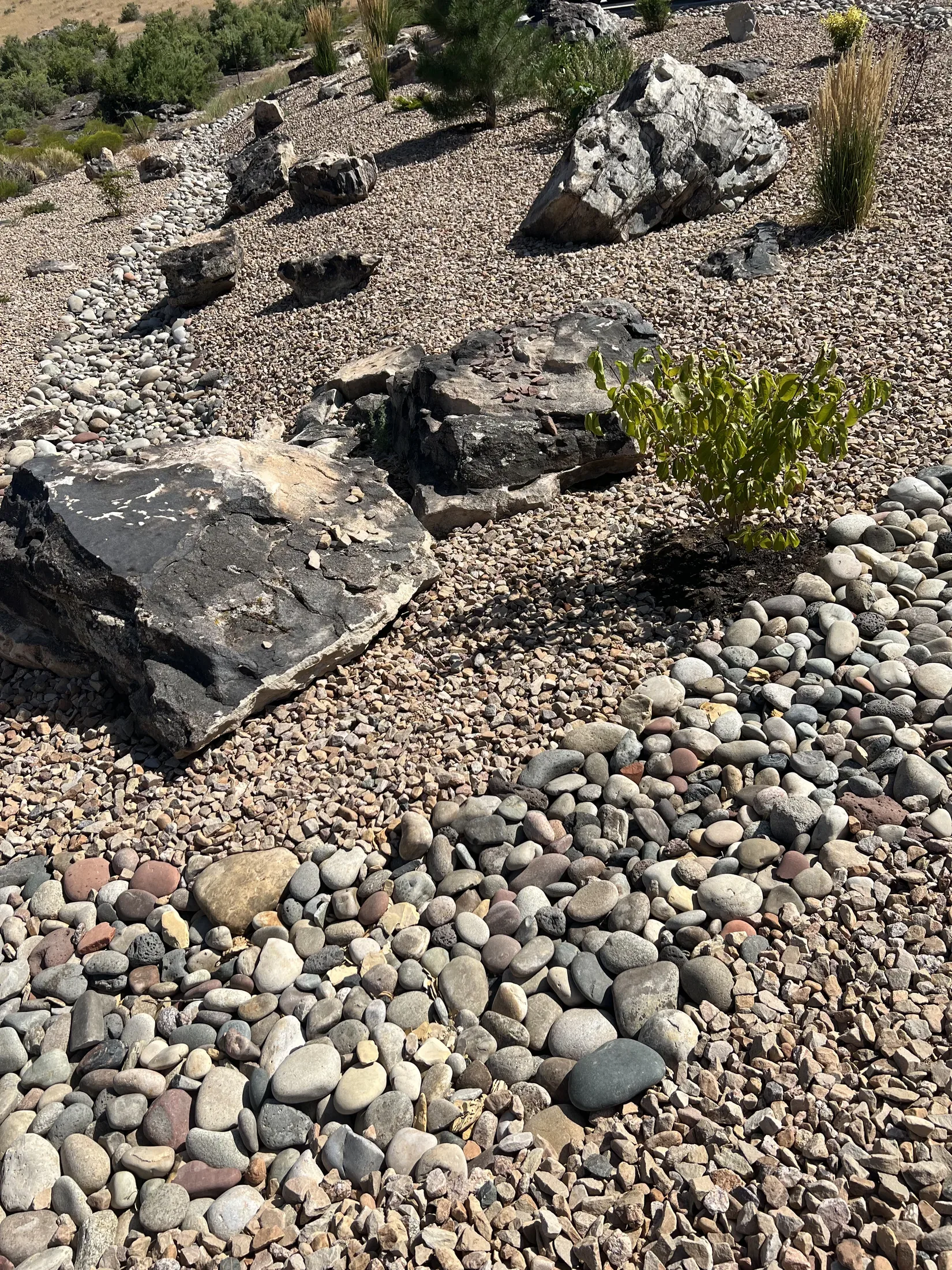 Xeriscapes project - xeriscapes 04