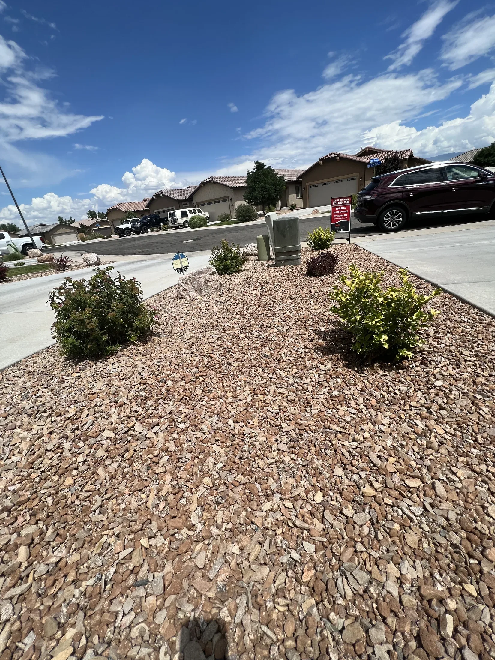 Xeriscapes project - xeriscapes 15
